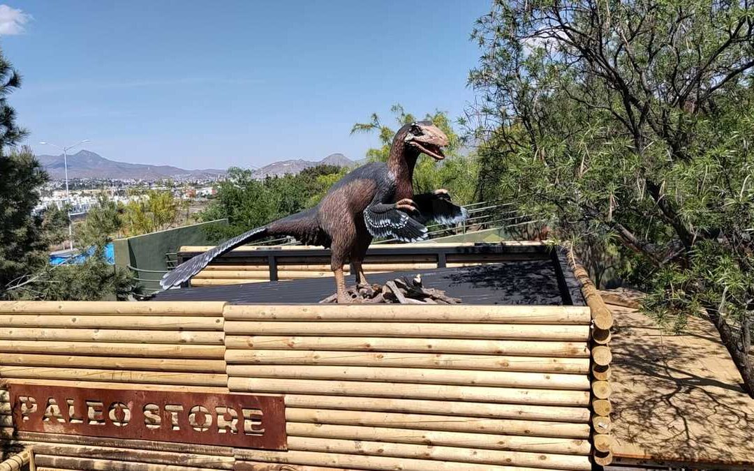 Descubre las Nuevas Áreas del Museo del Desierto en Saltillo tras Inversión Millonaria