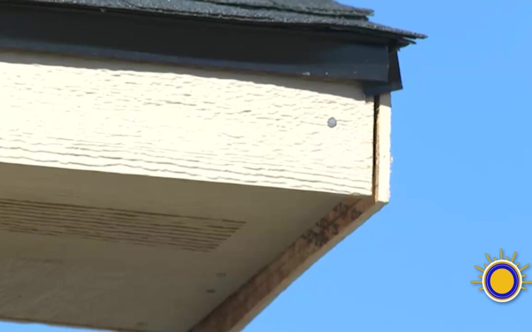 Educación Práctica: Estudiantes en Cunningham Revolucionan el Aprendizaje con Proyecto de Construcción