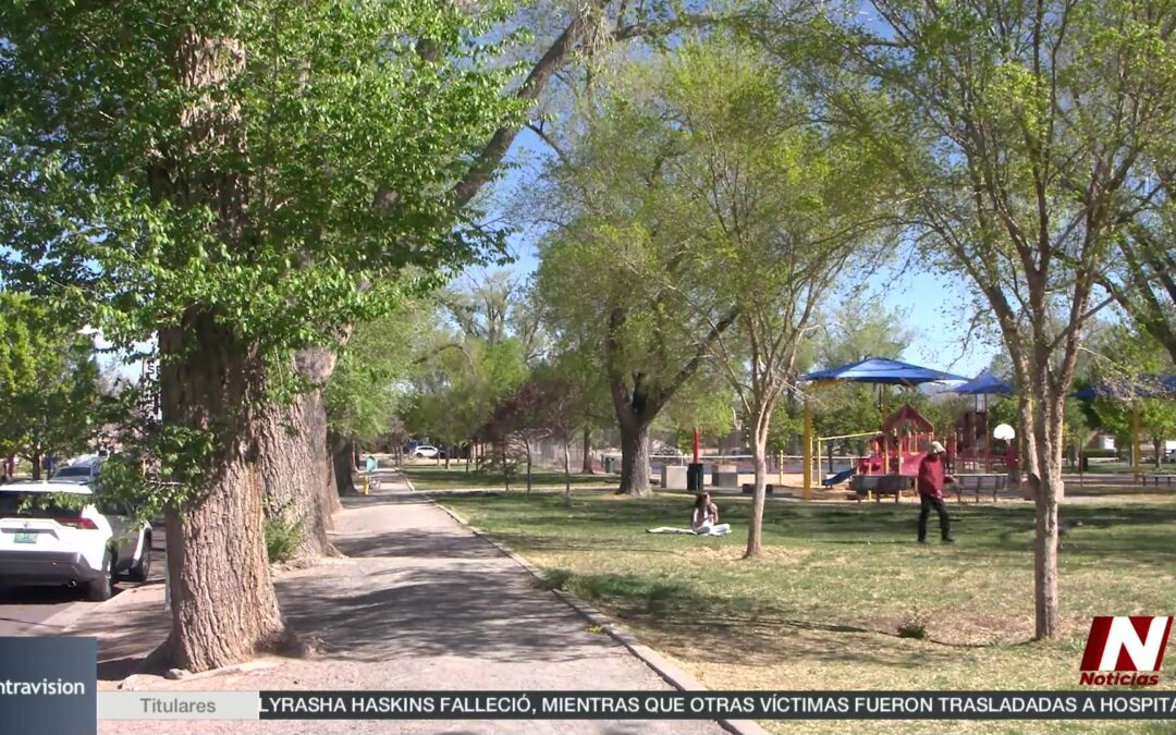 Crisis de Seguridad en Albuquerque Tras Noche Violenta en Fair West