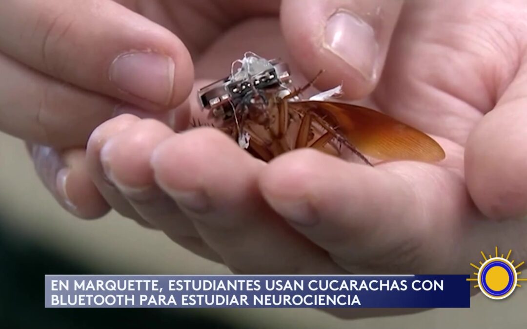 Revolucionario Experimento Educativo en Milwaukee Funde Tecnología y Biología