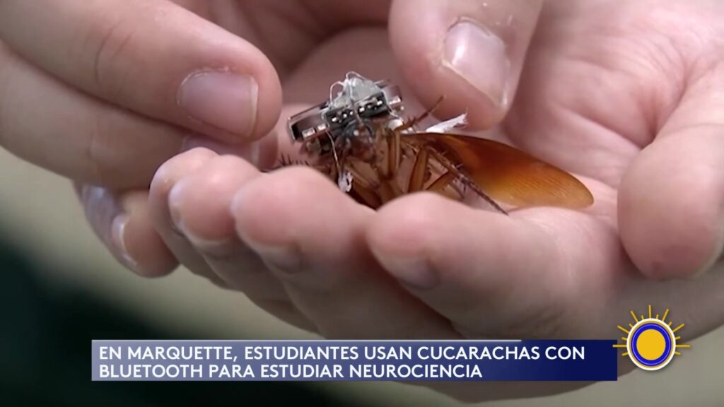 Universidad De Marquette Revoluciona Con Experimento Educativo Innovador