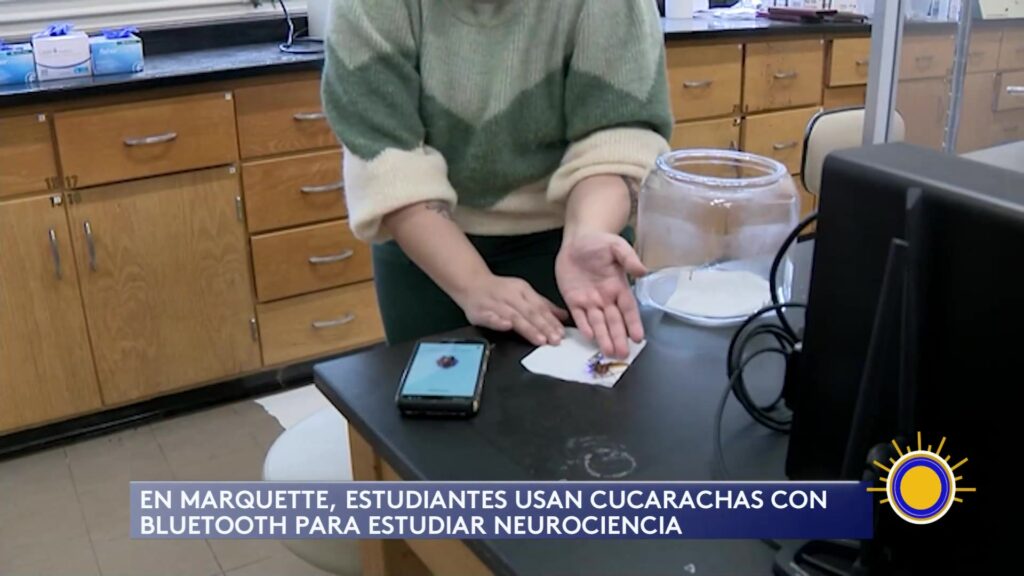 Innovador Proyecto De Neurociencia Con Cucarachas Bluetooth En La Universidad De Milwaukee - Noticias Notivalle Innovador Proyecto De Neurociencia Con Cucarachas Bluetooth En La Universidad De Milwaukee