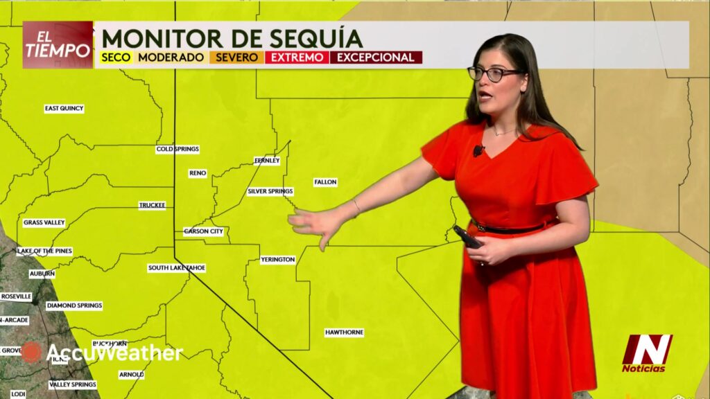 Ataques De Coyotes: Cómo La Alarma Se Extiende Entre Las Familias