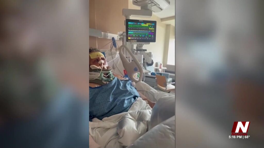 Impactante Ataque De Perros Deja A Mujer Luchando Por Su Vida En Aurora