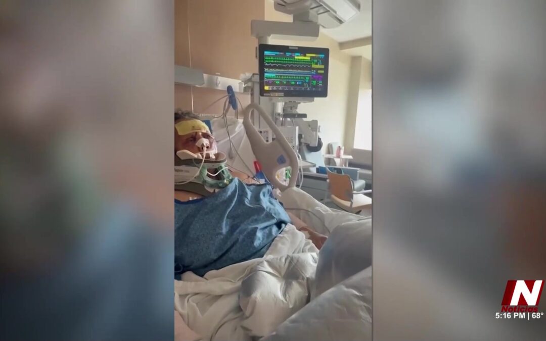 Impactante Ataque de Perros Deja a Mujer Luchando por su Vida en Aurora