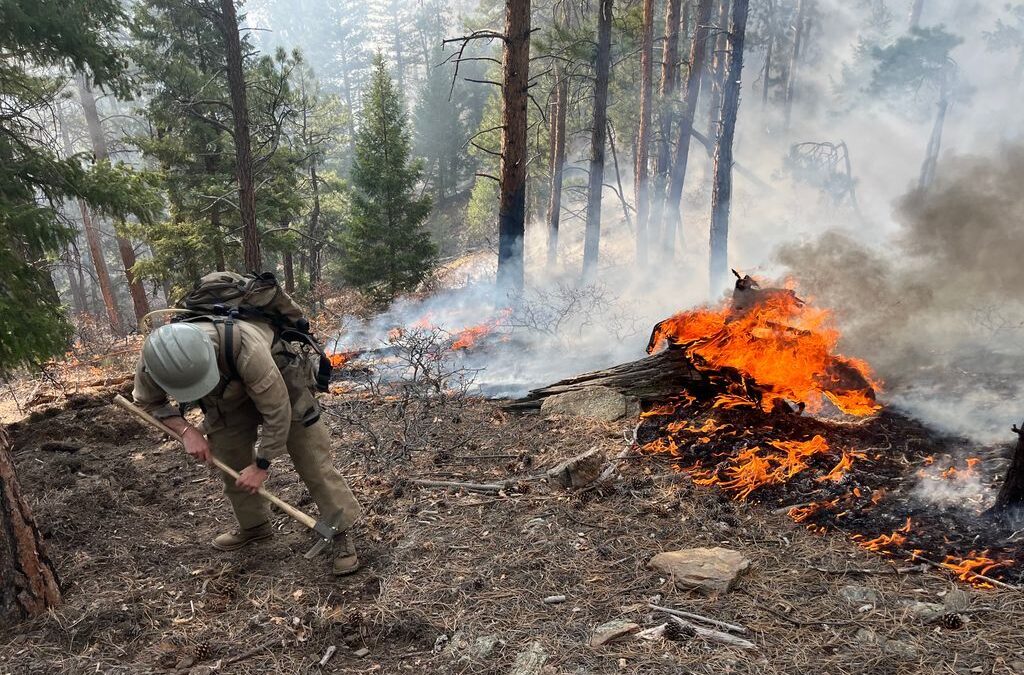 Incendio Bear Creek bajo control: avances importantes en Condado Douglas