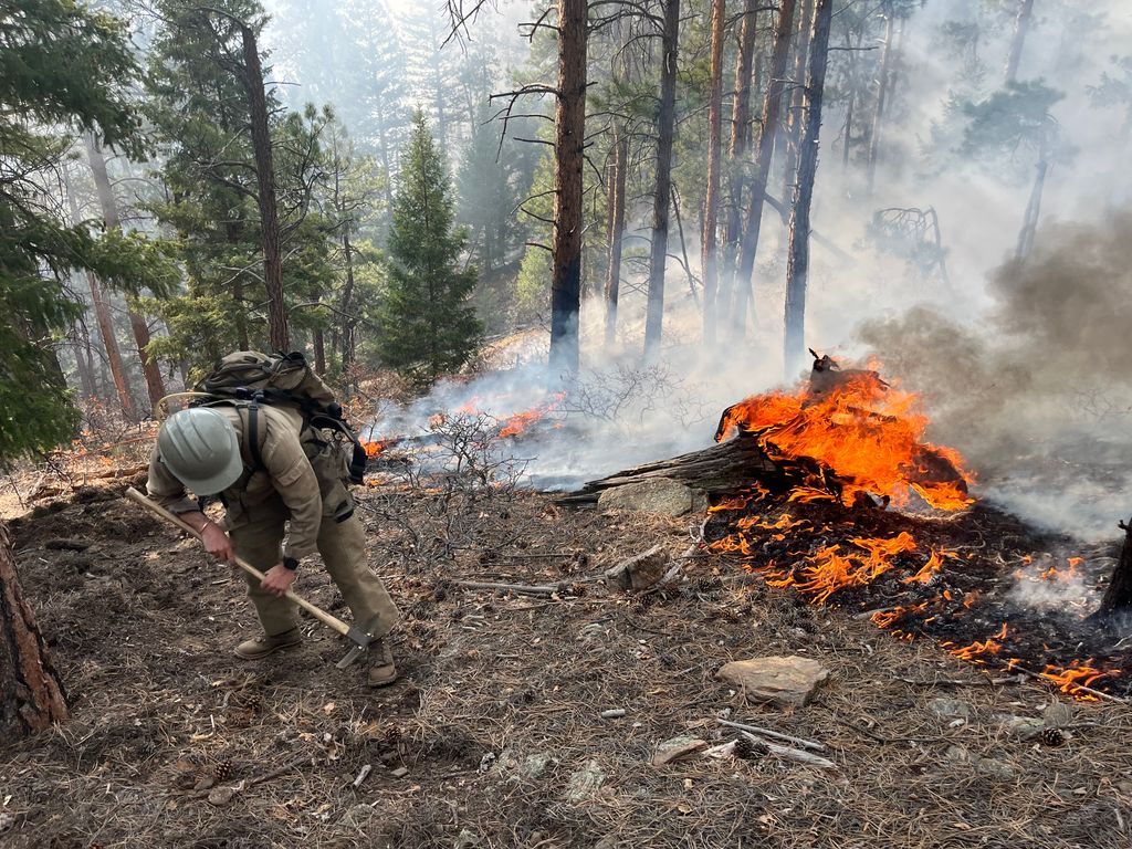 Incendio Bear Creek Bajo Control: Avances Importantes En Condado Douglas