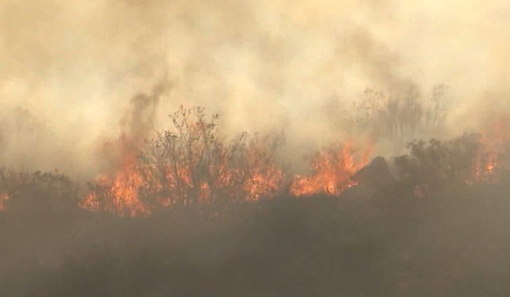 Aumento Del Riesgo De Incendios En San Diego: Calor Y Sequía Extremen Precauciones - Noticias Notivalle Aumento Del Riesgo De Incendios En San Diego: Calor Y Sequía Extremen Precauciones