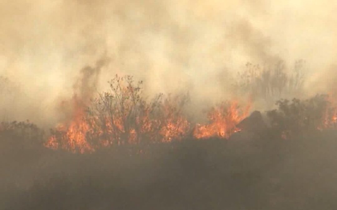 Aumento del Riesgo de Incendios en San Diego: Calor y Sequía Extremen Precauciones