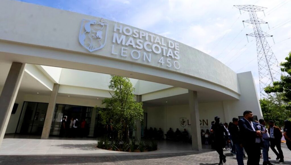 Hospital De Mascotas León Expande Horarios Por Más De 10,000 Consultas