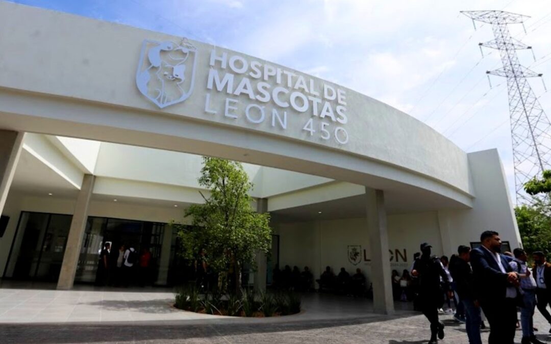 Hospital de Mascotas León Expande Horarios por Más de 10,000 Consultas
