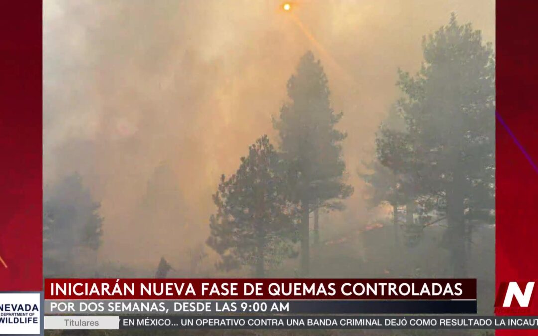 Quemas Controladas en Reno: Proteger el Medio Ambiente y Prevenir Incendios