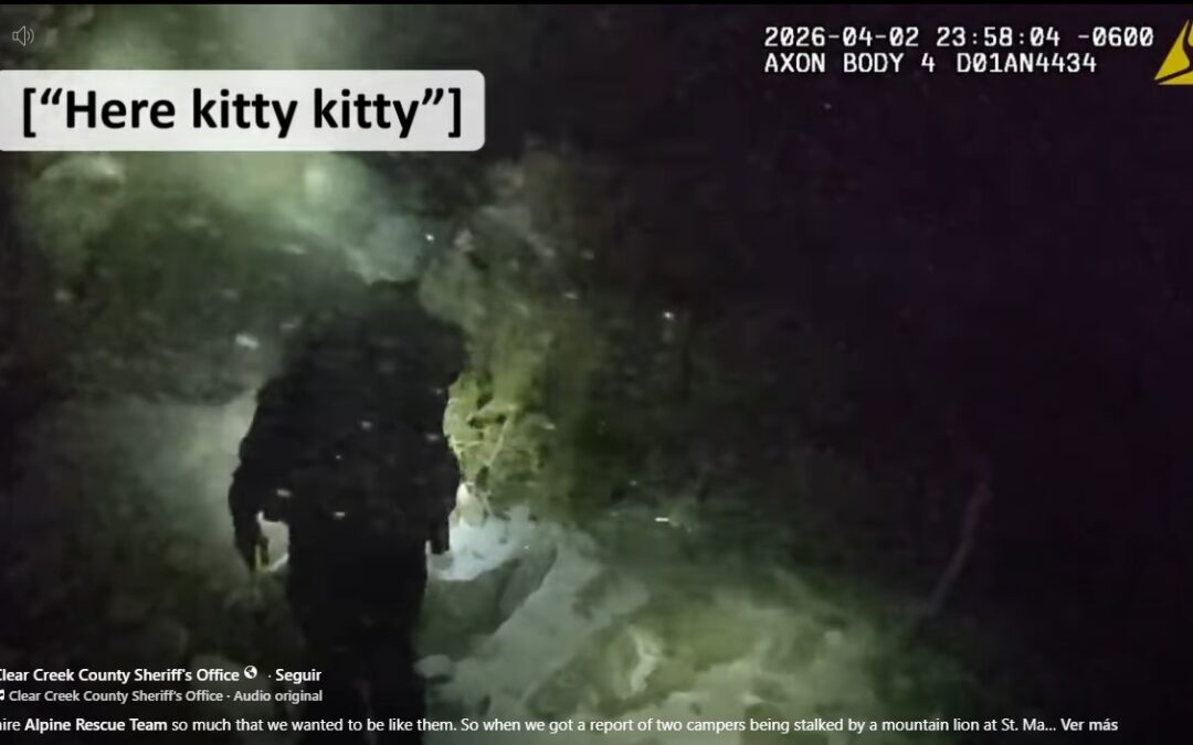 Rescate Dramático de Excursionistas en Clear Creek County Durante Tormenta de Nieve