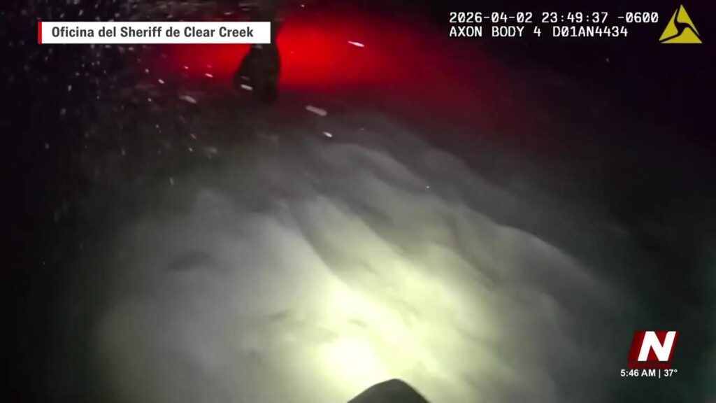 Impactante Rescate En Colorado: Excursionistas Salvan Sus Vidas Tras Enfrentar A Un León De Montaña - Noticias Notivalle Impactante Rescate En Colorado: Excursionistas Salvan Sus Vidas Tras Enfrentar A Un León De Montaña