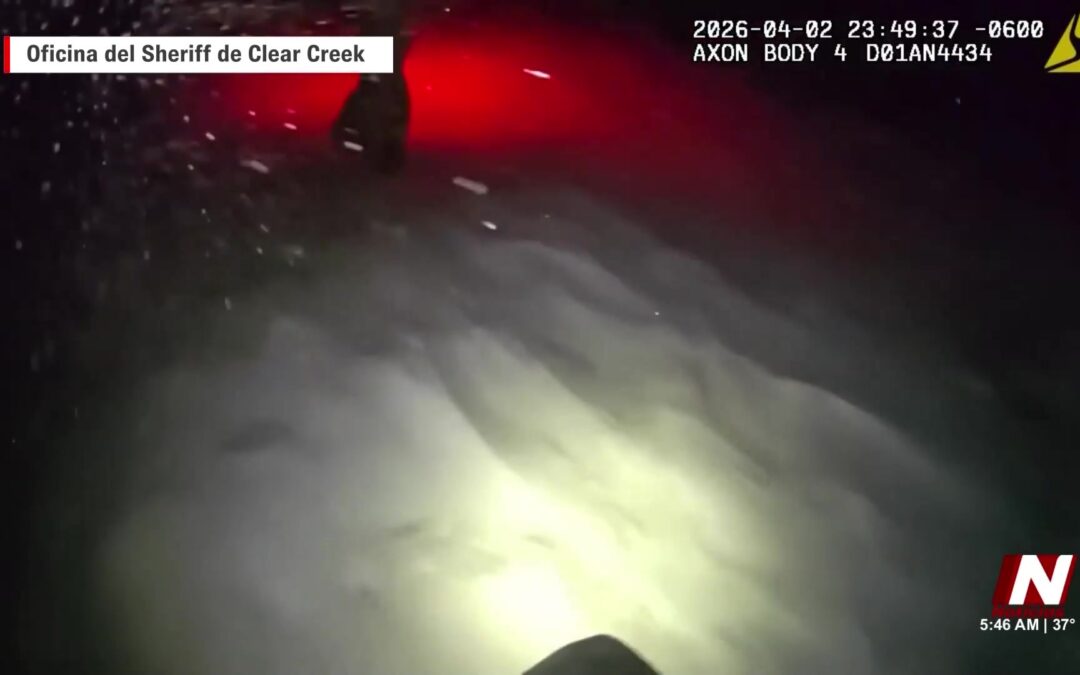 Impactante Rescate en Colorado: Excursionistas Salvan Sus Vidas Tras Enfrentar a un León de Montaña