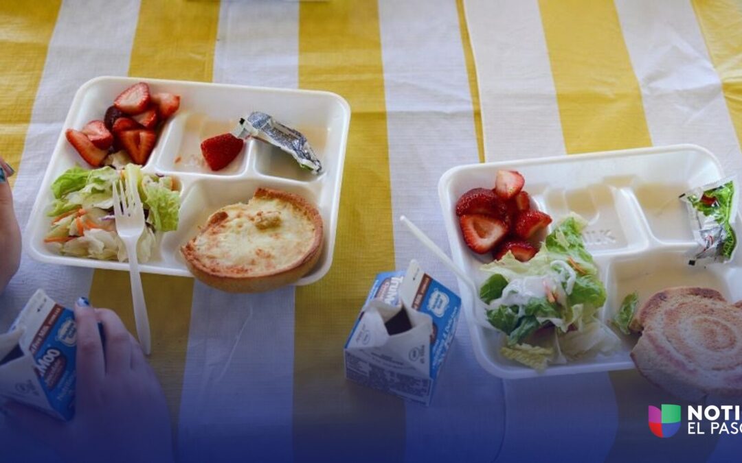 Distribución de Alimentos San Benito: Frutas y Verduras Gratis Este Viernes