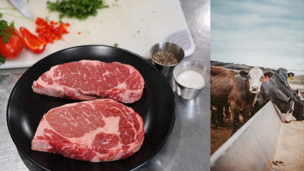 Nuevo México Ofrece Subvenciones Millonarias Para Impulsar Procesadores De Carne - Noticias Notivalle Nuevo México Ofrece Subvenciones Millonarias Para Impulsar Procesadores De Carne