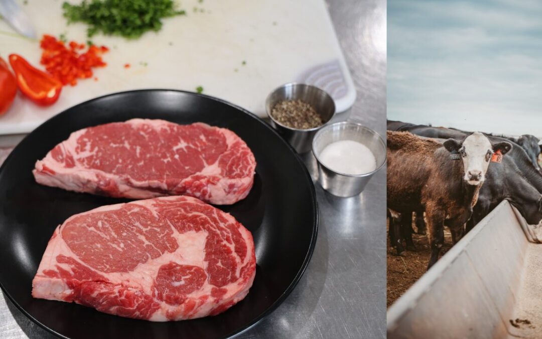 Nuevo México Ofrece Subvenciones Millonarias para Impulsar Procesadores de Carne