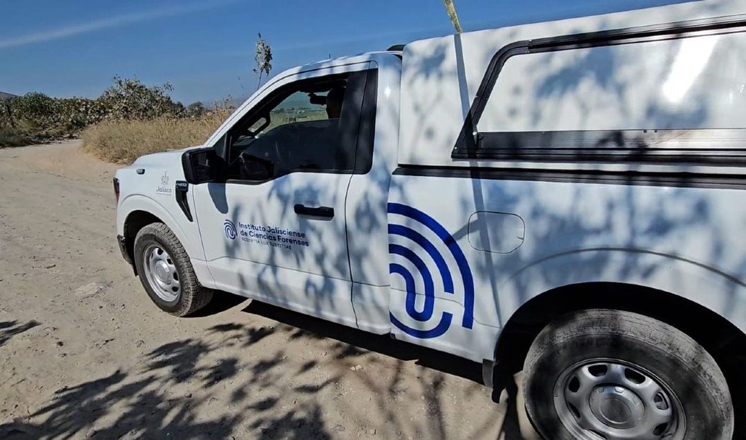 Descubre los Servicios Gratuitos del IJCF para Familias de Desaparecidos en Altos Sur