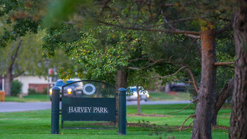 El Mercado Agrícola de Harvey Park Abre sus Puertas en Mayo