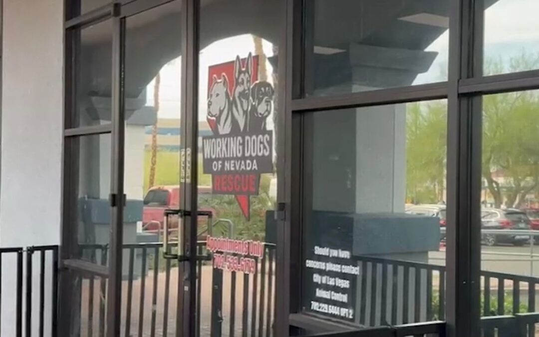 Maltrato Animal en Nevada: Arrestan a Dos por Tortura Canina