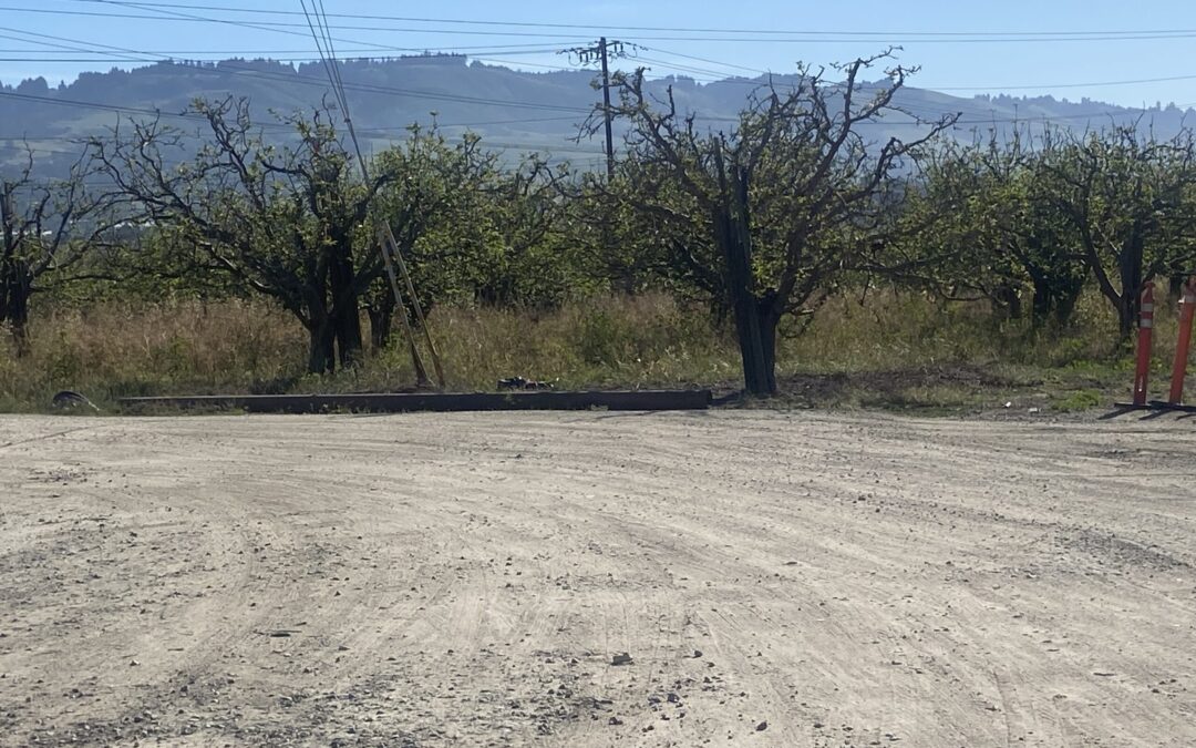 Controversia en Watsonville por Proyecto de Planta de Almacenamiento de Energía