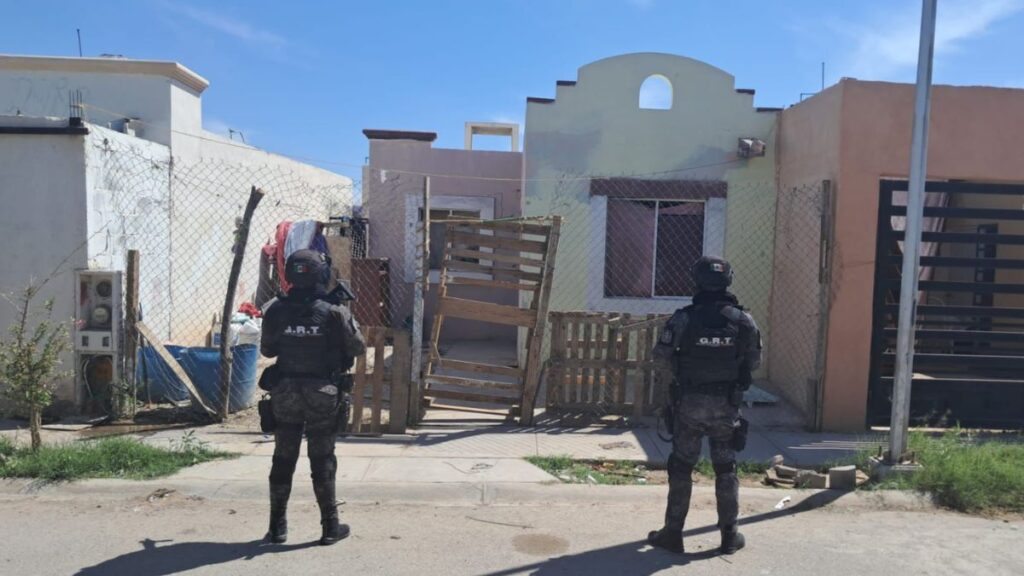 Impactante Operativo En Torreón Resulta En Decomiso De Marihuana