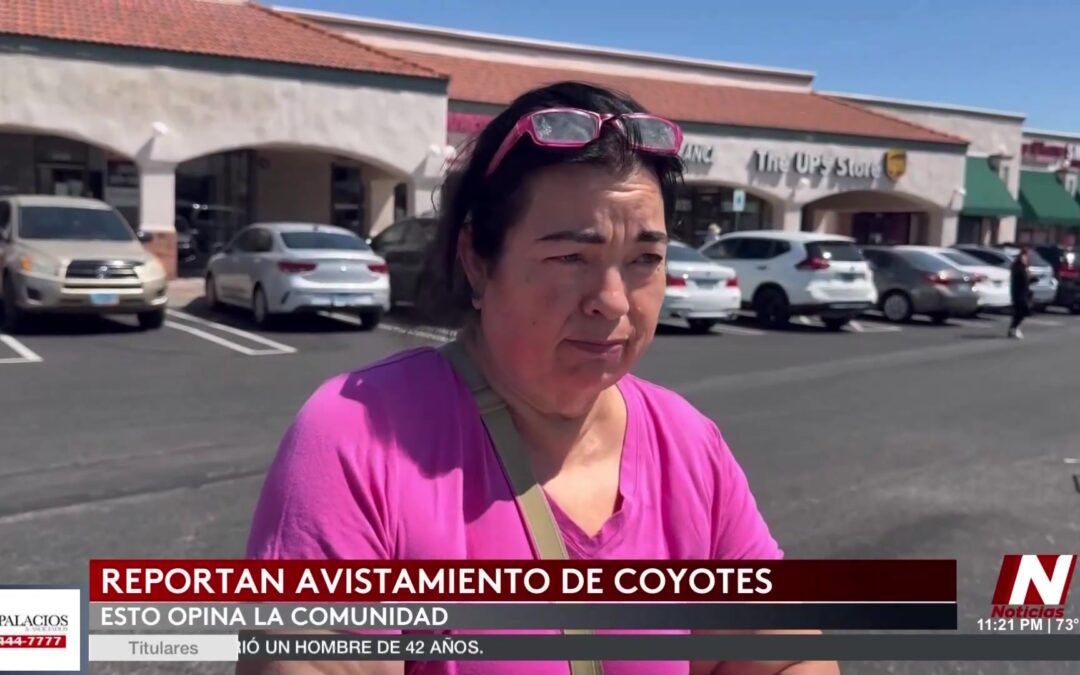 Coyotes en Las Vegas: Crece Preocupación por Aumento de Avistamientos