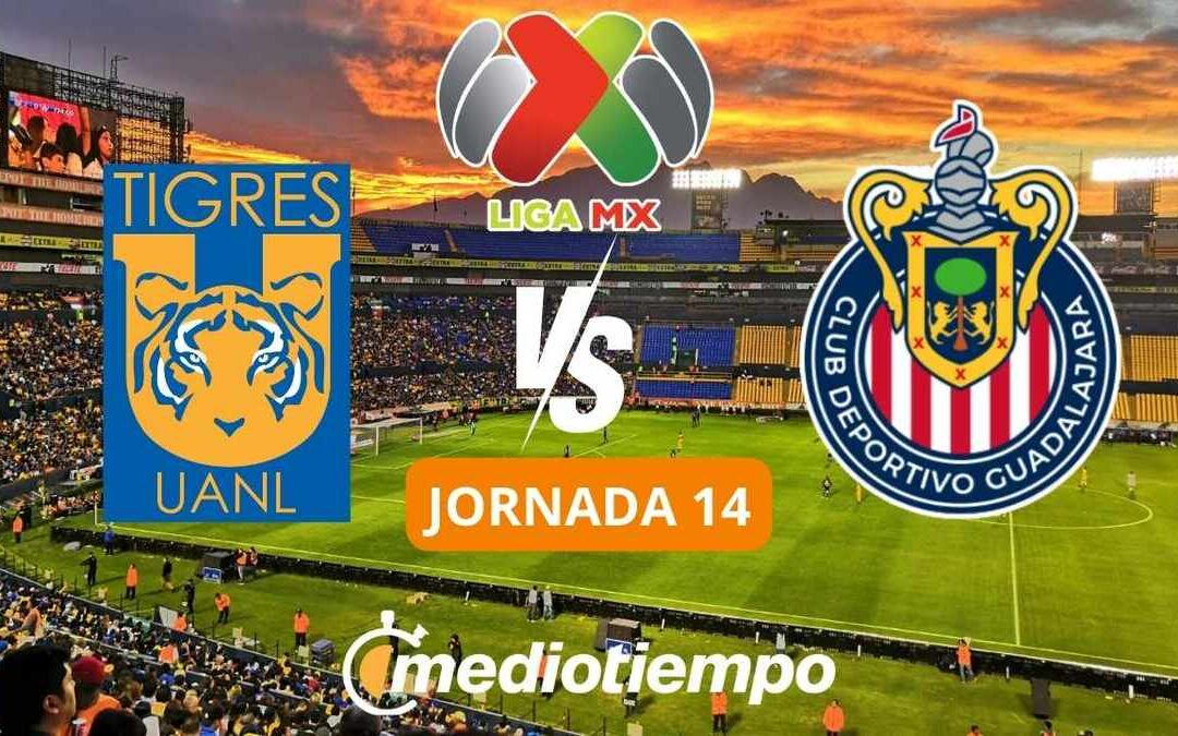 Tigres vs Chivas: Transmisión en Vivo y Horarios para la Jornada 14 de la Liga MX
