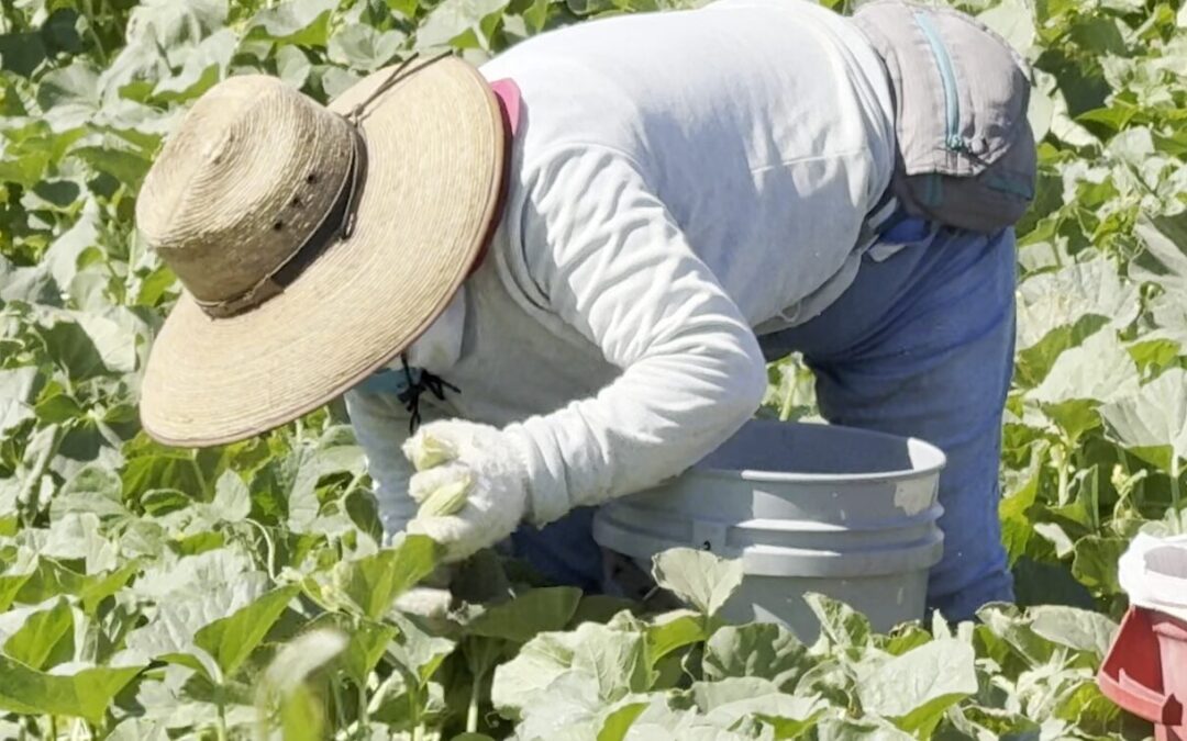 Apoyo a mujeres campesinas