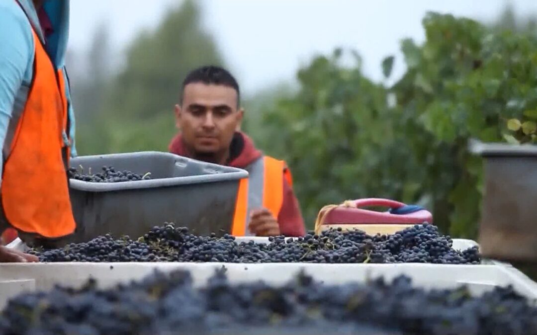 Desempleo en Monterey Impulsa Ferias de Empleo para Combatir Crisis Laboral