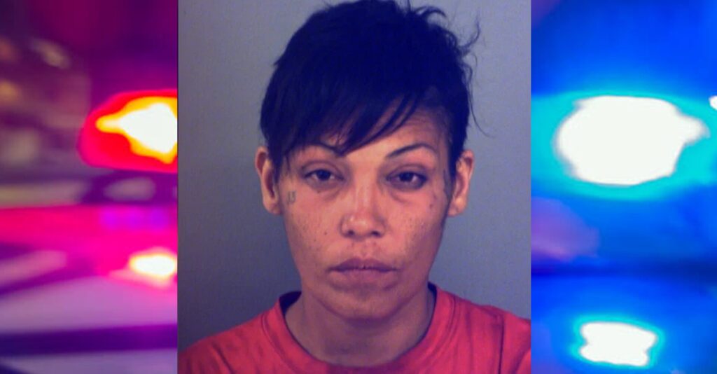 Arresto Por Robo De Vehículo En Fabens: Recuperación Exitosa En Alameda Avenue