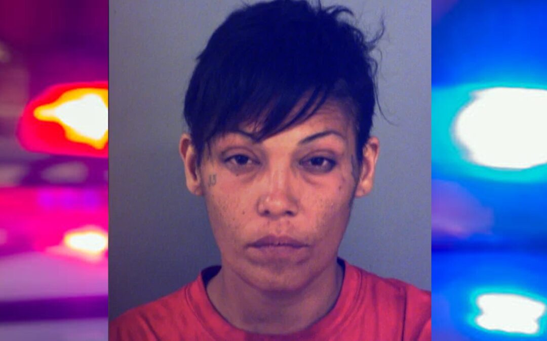 Arresto por Robo de Vehículo en Fabens: Recuperación Exitosa en Alameda Avenue