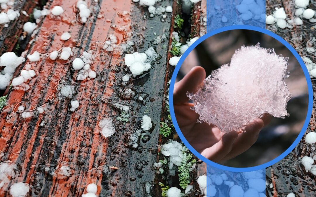 Impactante Granizo del Tamaño de Limones Causa Estragos en San Luis de la Paz