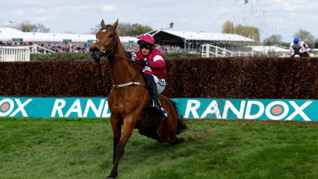 Tragedia En Carrera: Caballo Gold Dancer Fallece Tras Victoria Con Columna Fracturada