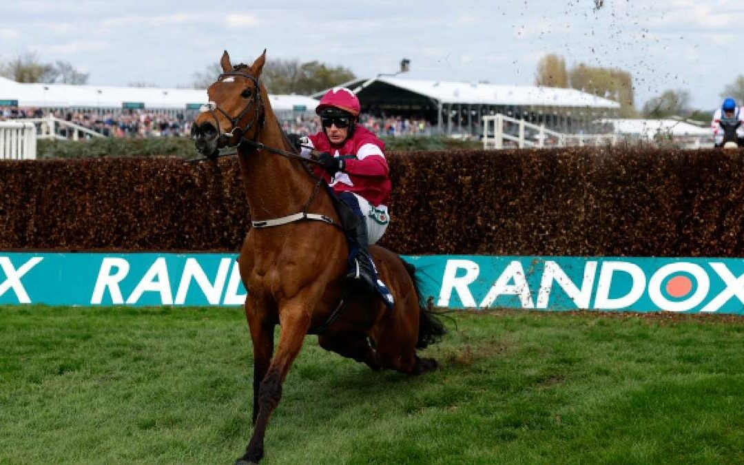 Tragedia en Carrera: Caballo Gold Dancer Fallece Tras Victoria con Columna Fracturada