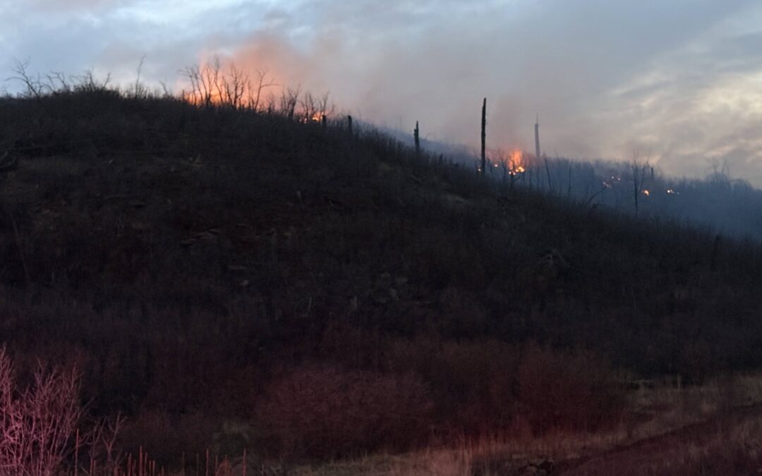 Emergencia estatal por incendio en Las Animas: 450 acres arrasados
