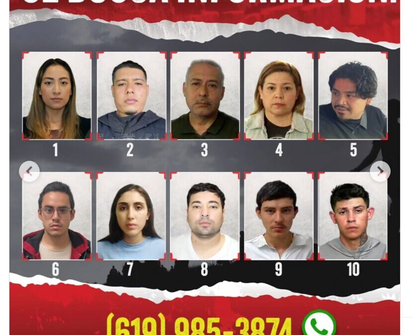 Desmantelan Red de Tráfico Humano en la Frontera de Tijuana-San Diego