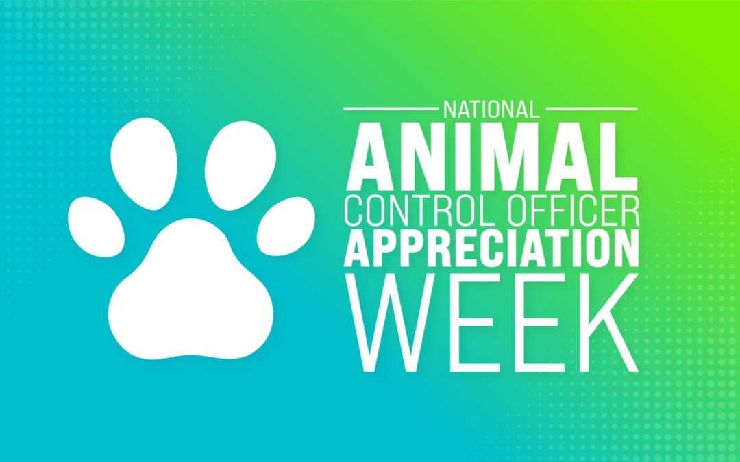 Destacan la Invaluable Labor de Control Animal durante la Semana de Apreciación en Big Spring