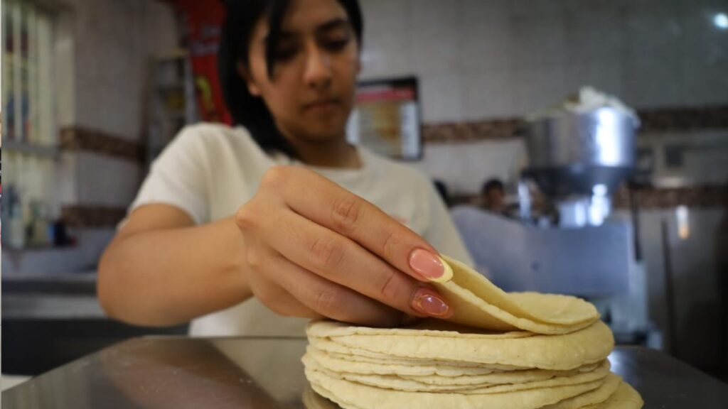 Tortillerías De La Laguna Enfrentan Incrementos De Insumos Sin Subir Precios