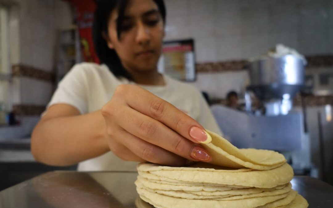 Tortillerías de La Laguna Enfrentan Incrementos de Insumos sin Subir Precios