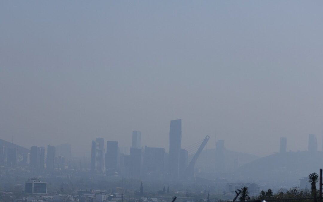 Récord de Delitos Ambientales en Nuevo León en Marzo de 2026