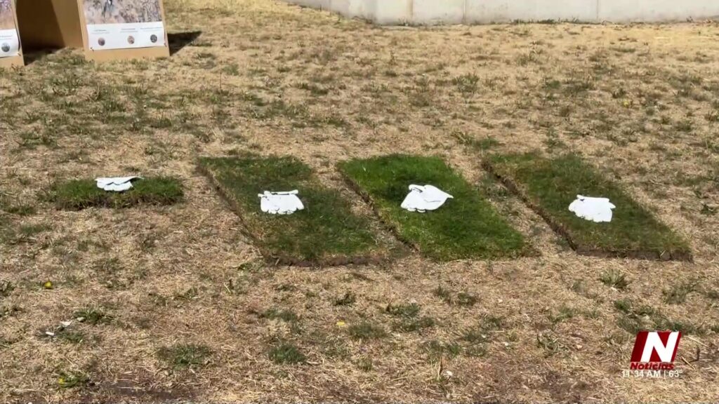 Proyecto Sostenible En Denver: Innovadora Solución Para La Conservación De Agua