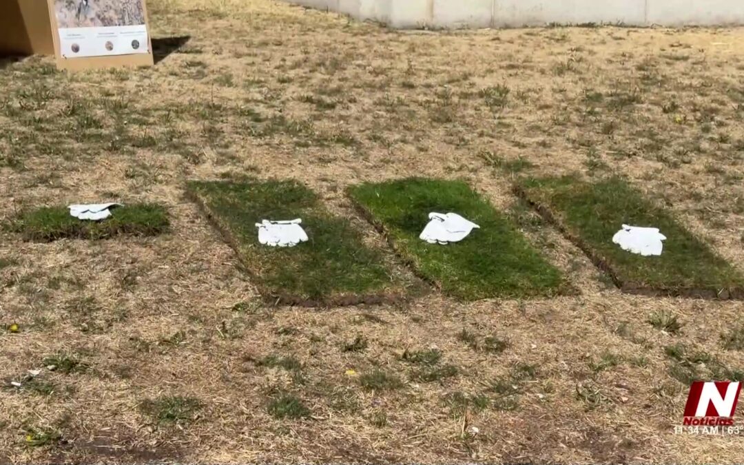 Proyecto Sostenible en Denver: Innovadora Solución para la Conservación de Agua