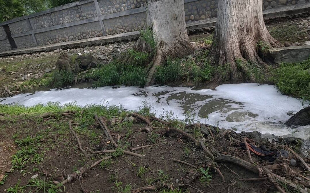 Contaminación Afecta el Arroyo Los Encinos en Allende, según Conagua