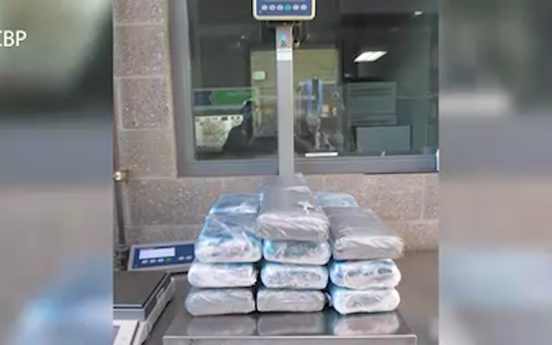 Incautación de Cocaína por Oficiales de CBP en San Ysidro: Más de 1.1 Millones de Dólares en Juego