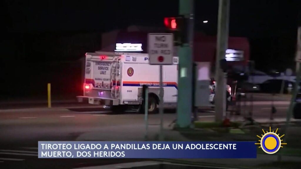 Tiroteo En Nueva York: Adolescente Muerto En Violencia Pandillera