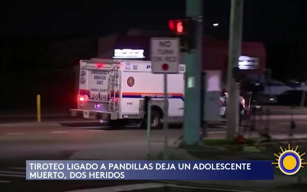 Tiroteo en Nueva York: Adolescente Muerto en Violencia Pandillera