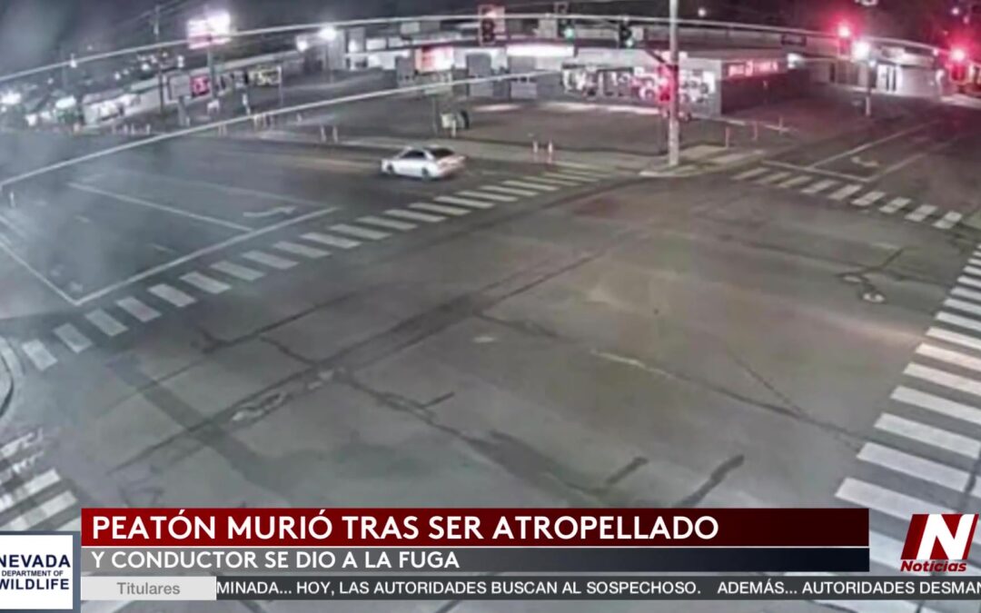 Accidente Fatal en Kitschland: Peatón Perece Tras Ser Atropellado