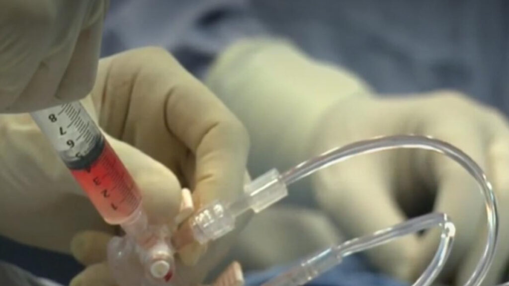 Día Mundial De La Hemofilia: Conoce Los Síntomas Y Personas En Riesgo